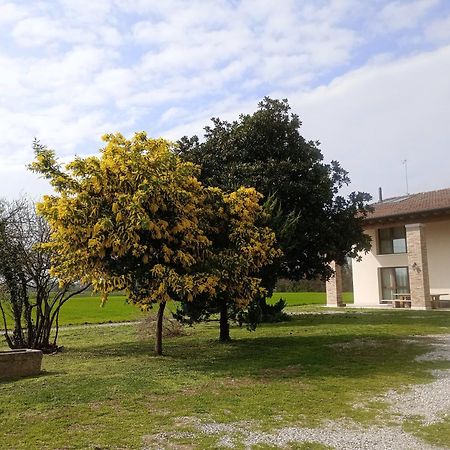 Agriturismo Trabucco Casale sul Sile Buitenkant foto