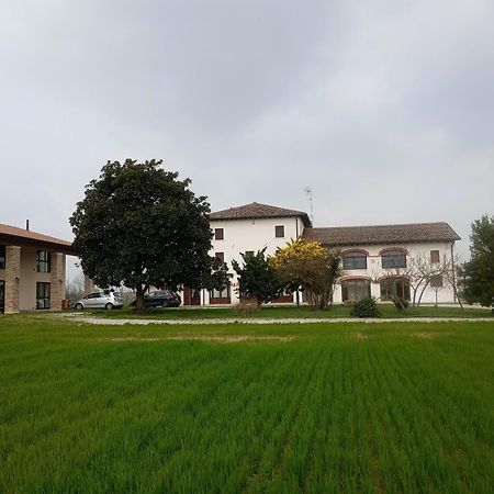 Agriturismo Trabucco Casale sul Sile Buitenkant foto