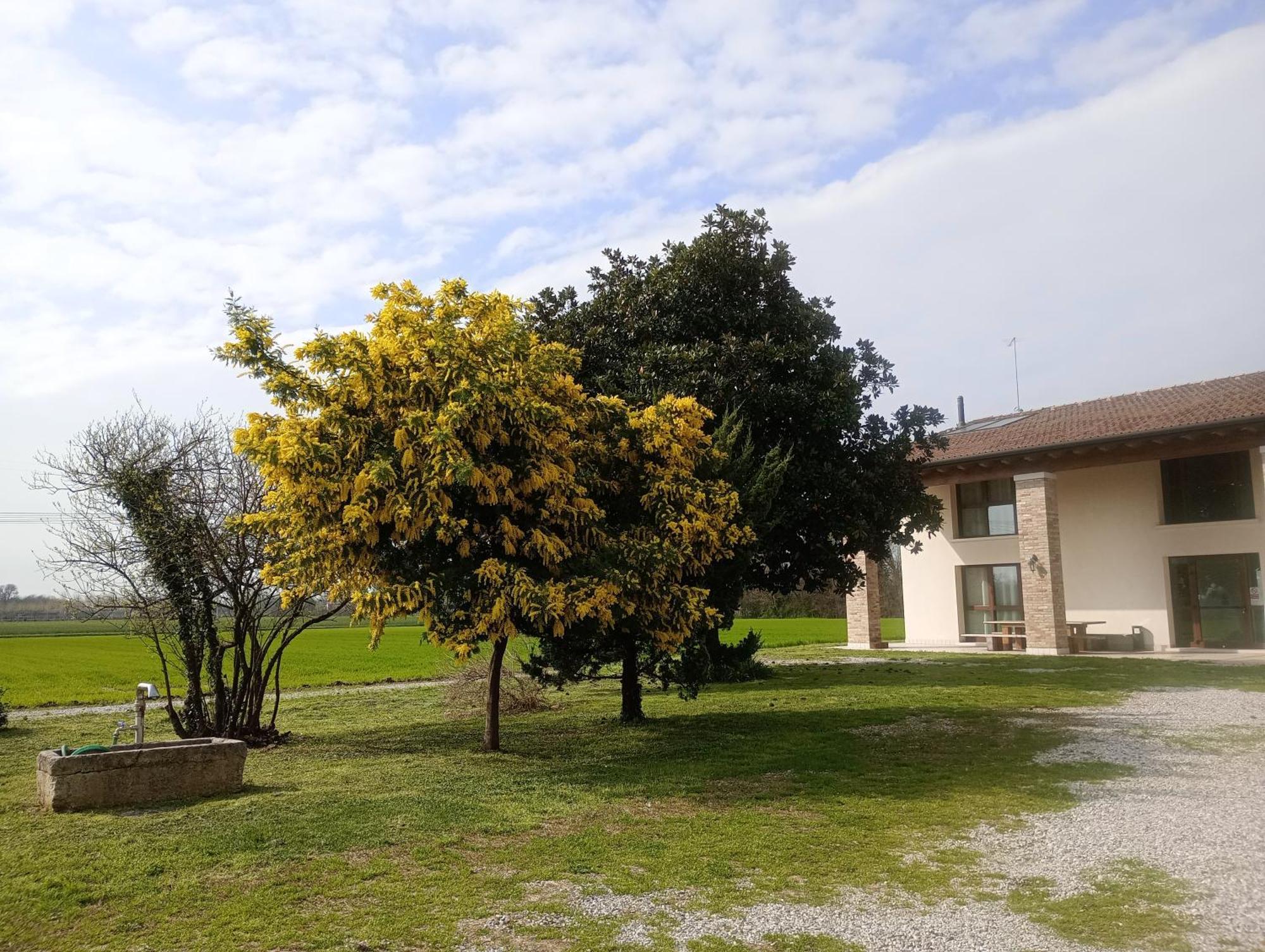 Agriturismo Trabucco Casale sul Sile Buitenkant foto
