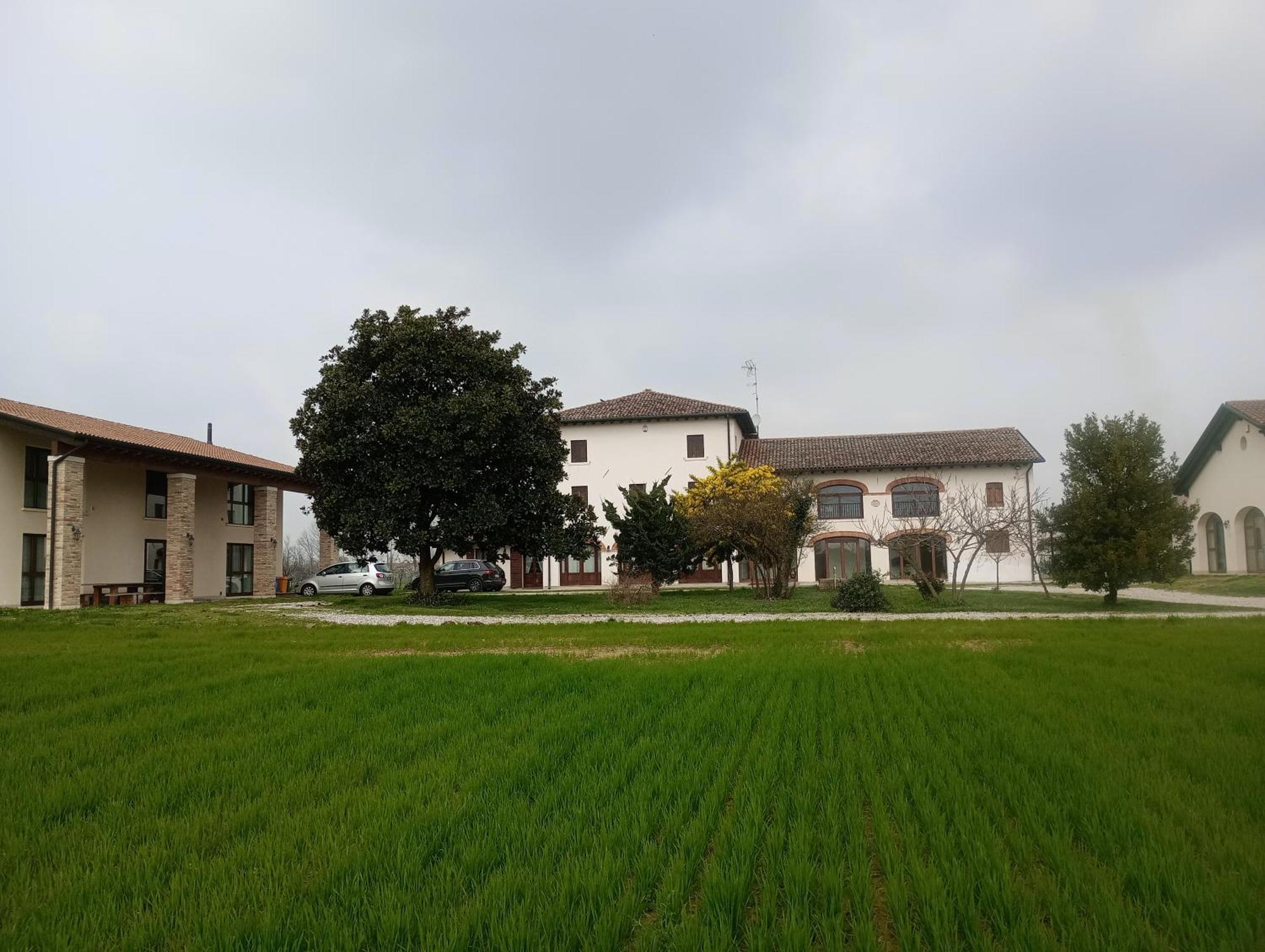 Agriturismo Trabucco Casale sul Sile Buitenkant foto