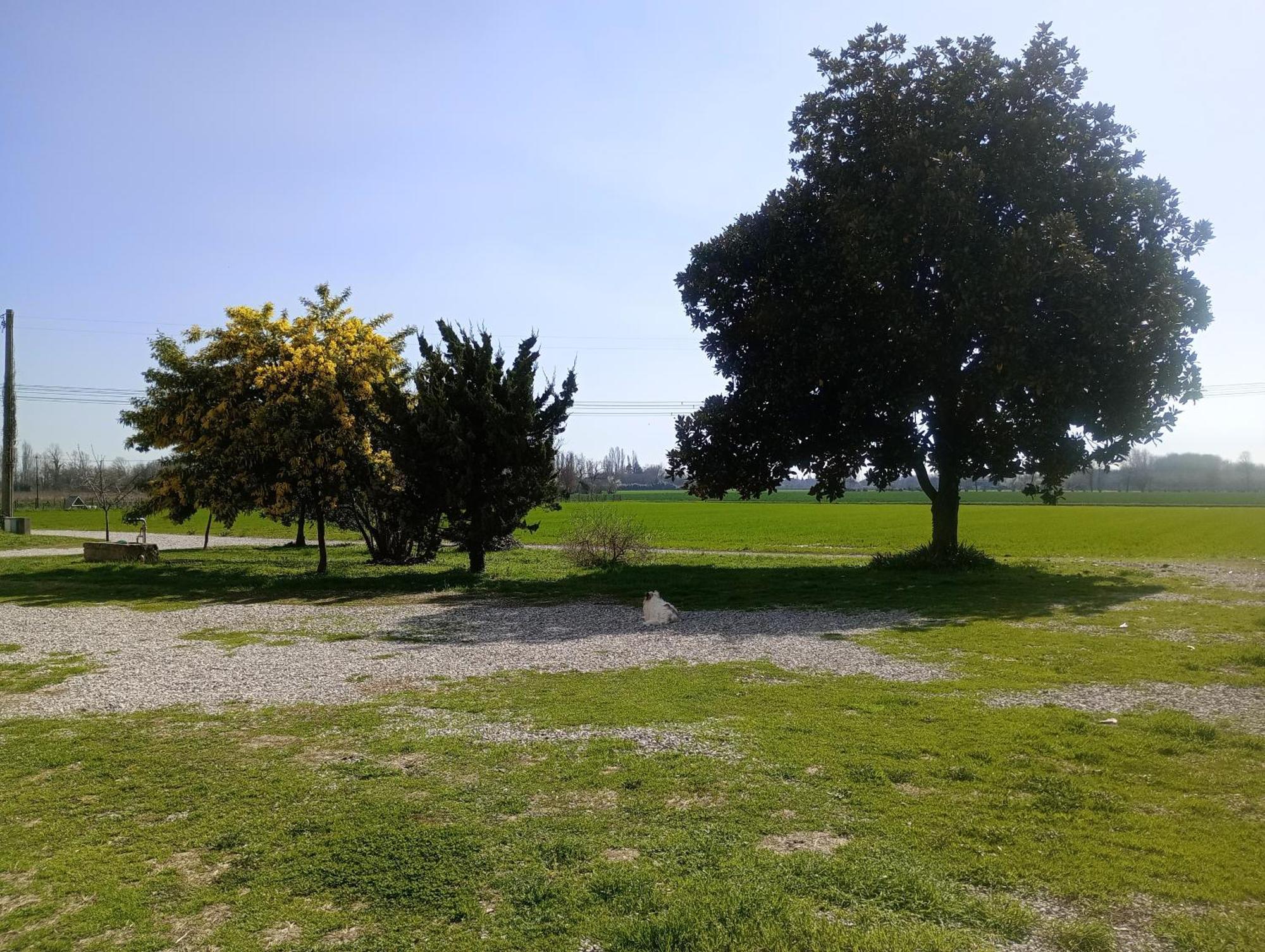 Agriturismo Trabucco Casale sul Sile Buitenkant foto