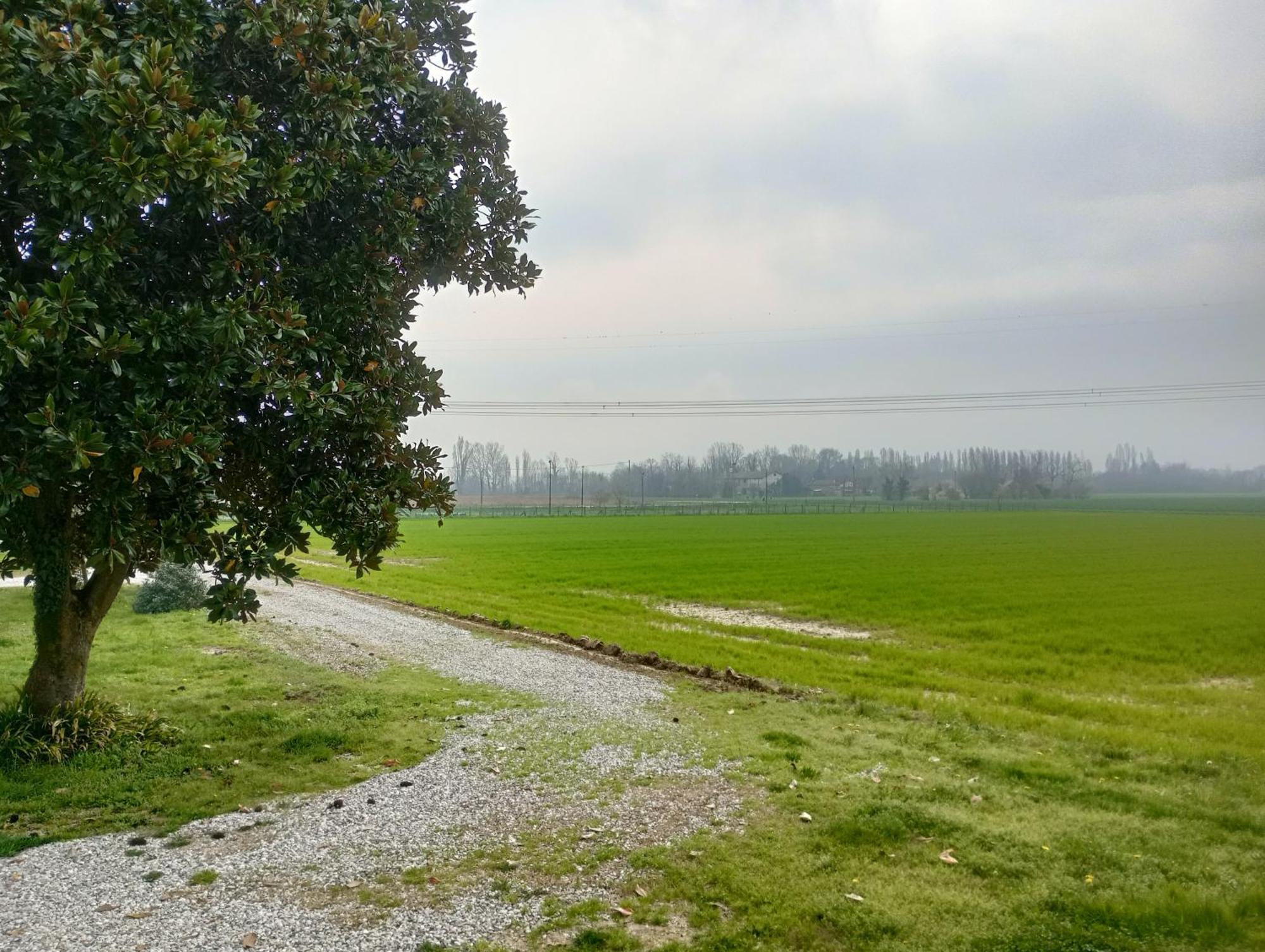Agriturismo Trabucco Casale sul Sile Buitenkant foto